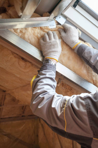 Best Insulation Installation Services in Eaton, OH