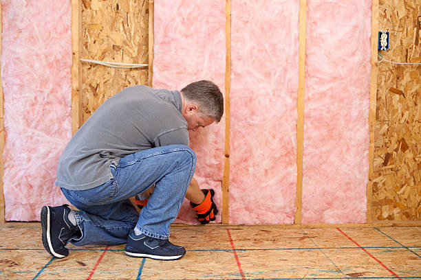 Best Insulation Maintenance and Repair in Eaton, OH
